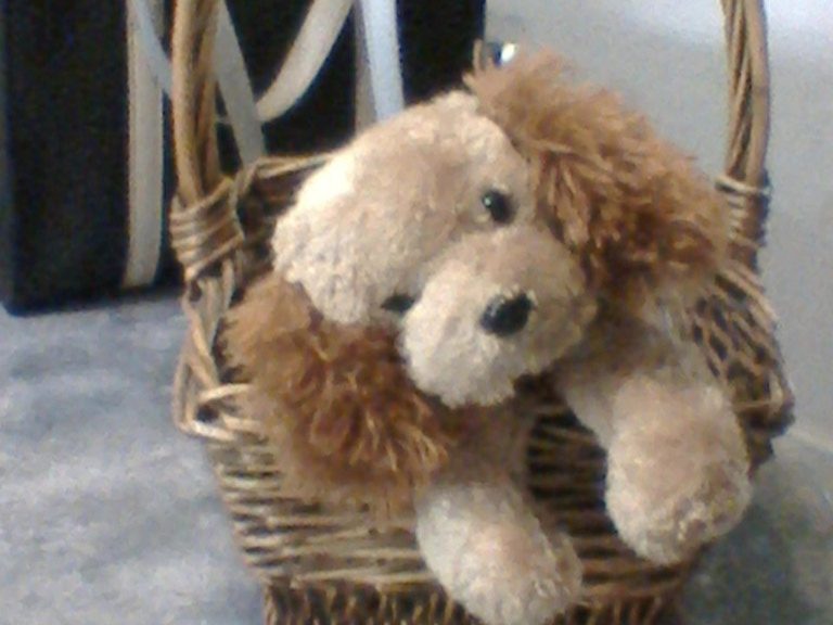 The Six Things I Refuse to Keep Scattered Around the House